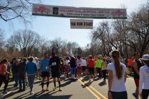 Runner's assemble for start of 39th edition of Cherry blossom 10k