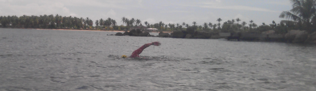 Open Water Swimming 2012