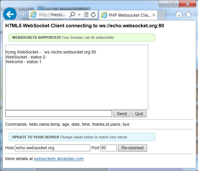 Websocket Client page