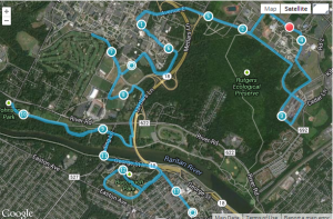 Unite Half Marathon 2014 Course