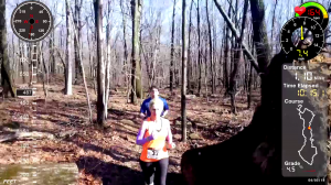 Lost Brook Trail Run Nearing mile 1