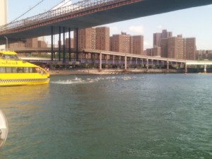 Start of Wave #1 Swimmers dive off water taxi