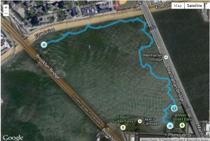 my Brooklyn Bridge swim track