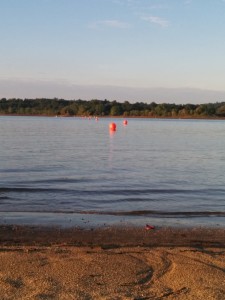 Lake swim course out and back