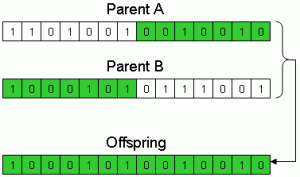 Crossover of binary (0/1) genes