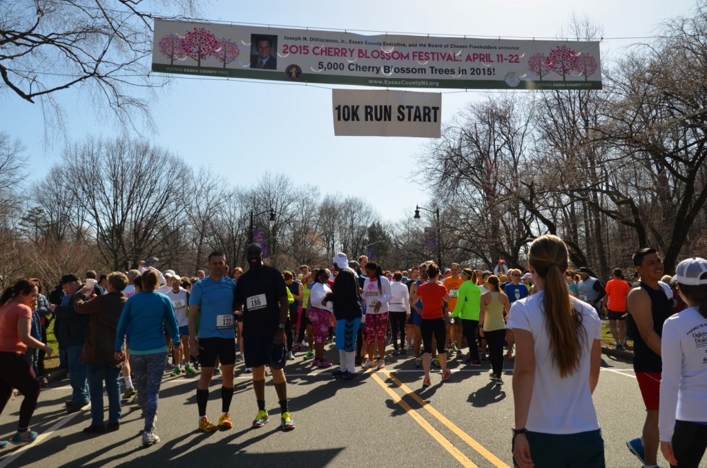 download cherry blossom 10k download cherry blossom 10k